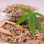 Empresa Online de Sementes de Cannabis